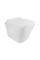 Унітаз Qtap Tern із сидінням Soft-close QT1733052EUQW
