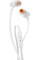 Навушники JBL T110 White (JBLT110WHT)