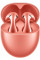 Навушники HUAWEI FreeBuds 5 Coral Orange
