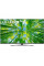 Телевізор LG 55UQ81006LB