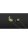 Навушники Sennheiser CX SPORT Waterproof Wireless Mic (508256)