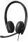 Гарнітура Sennheiser ADAPT 165 II USB-C (1000920)