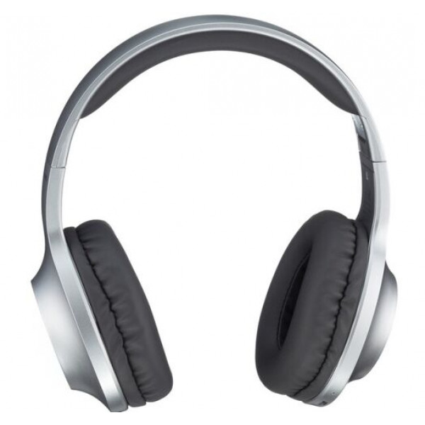 Навушники Panasonic RB-HX220BEE-S Gray (RB-HX220BEE-S)
