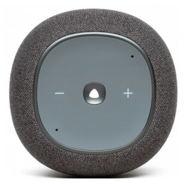 Акустична система JBL Link Music Grey (JBLLINKMUSICGRYEU)